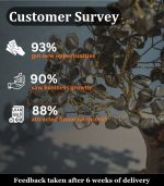 Pyrite Tree - Image 4